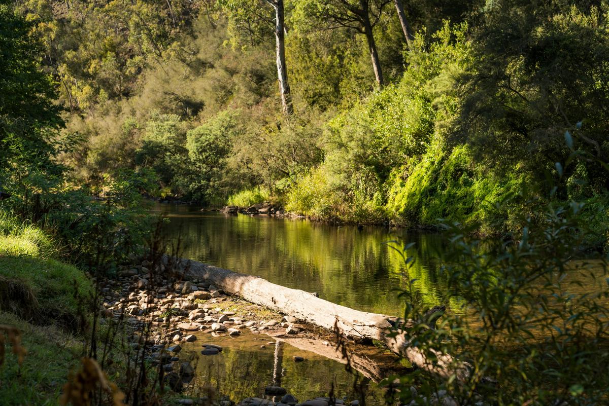 Jamieson River
