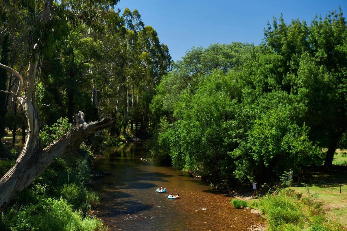River swimming, Mansfield