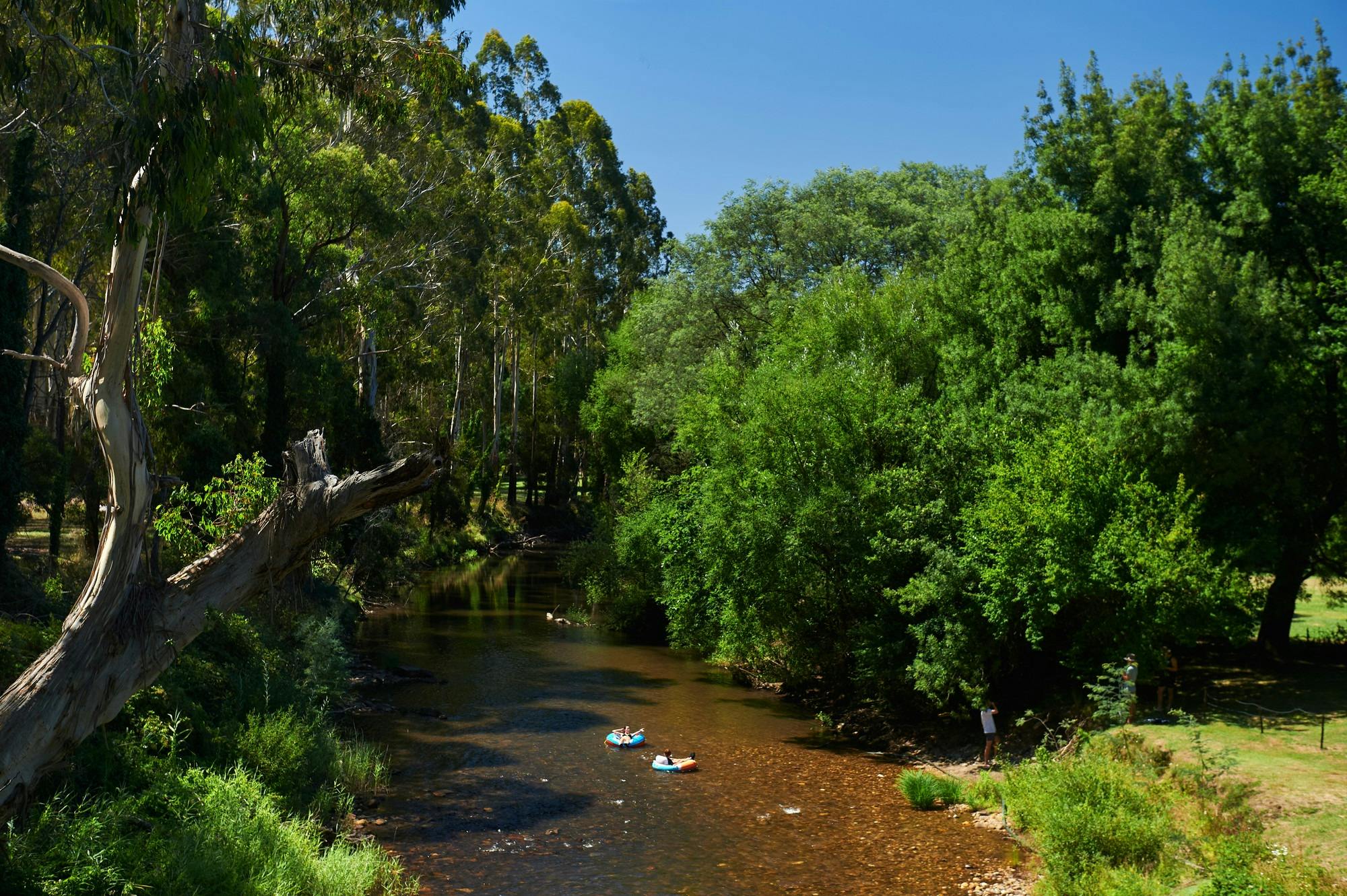 River swimming, Mansfield