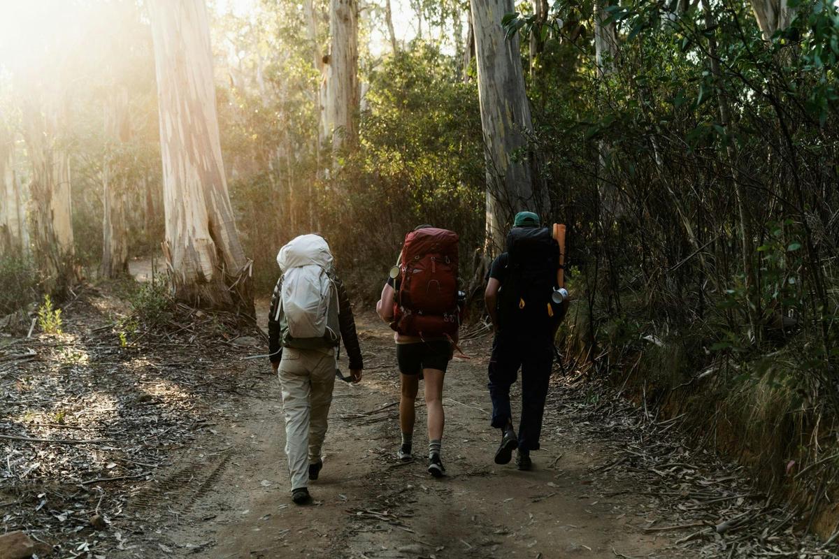 Hikers on the track to Mount Cobbler