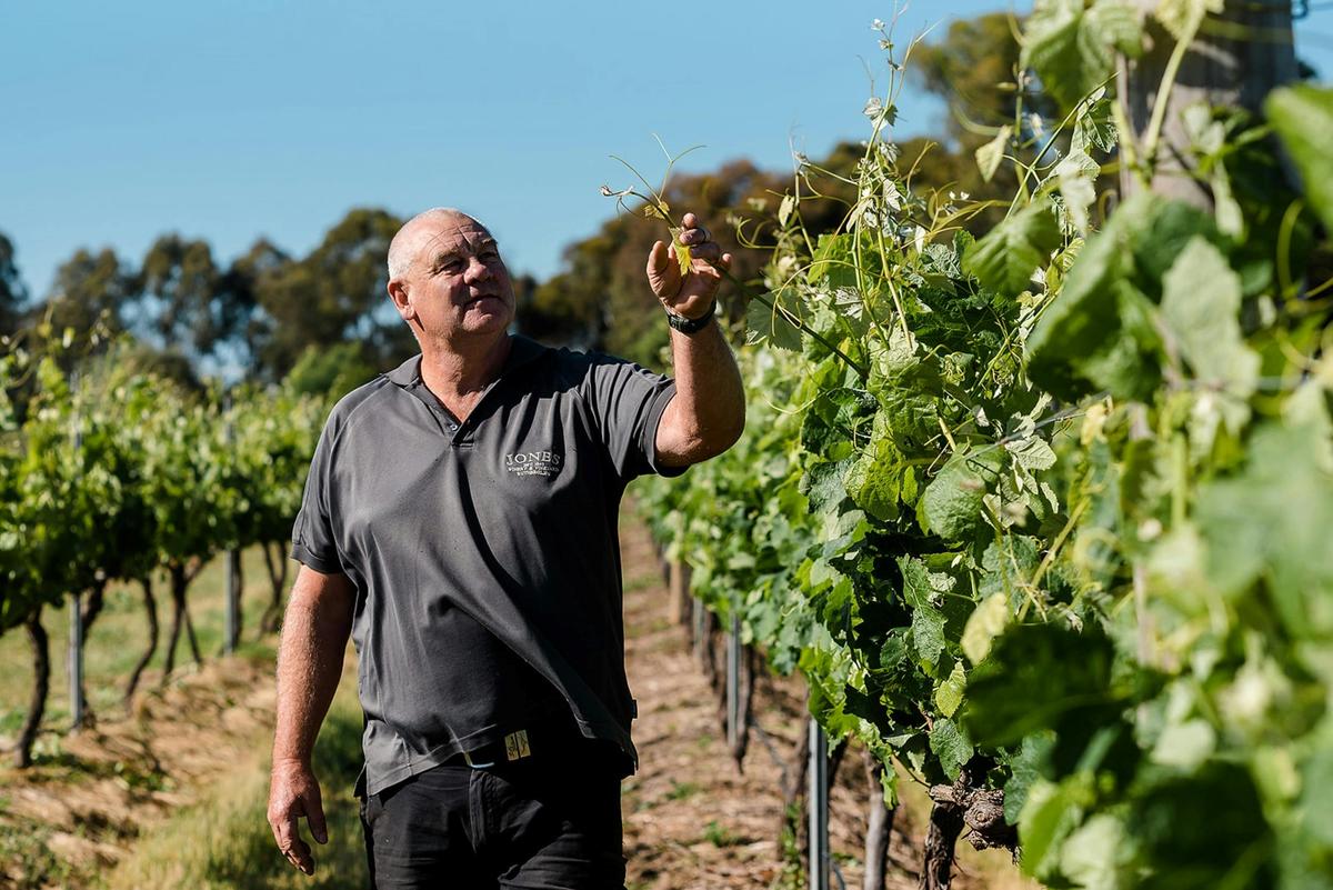 Jones Winery & Vineyard Rutherglen Arthur Jones