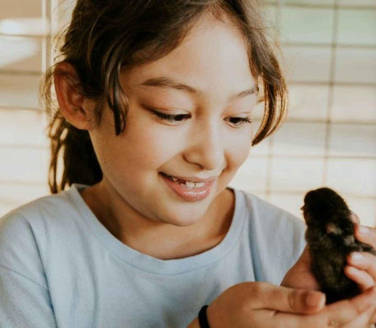 School Holiday Activities at Hosanna Farmstay