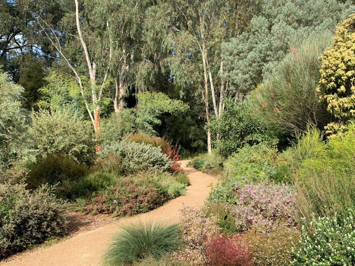 Karwarra has many meandering paths with interesting plants and colourful flowers.