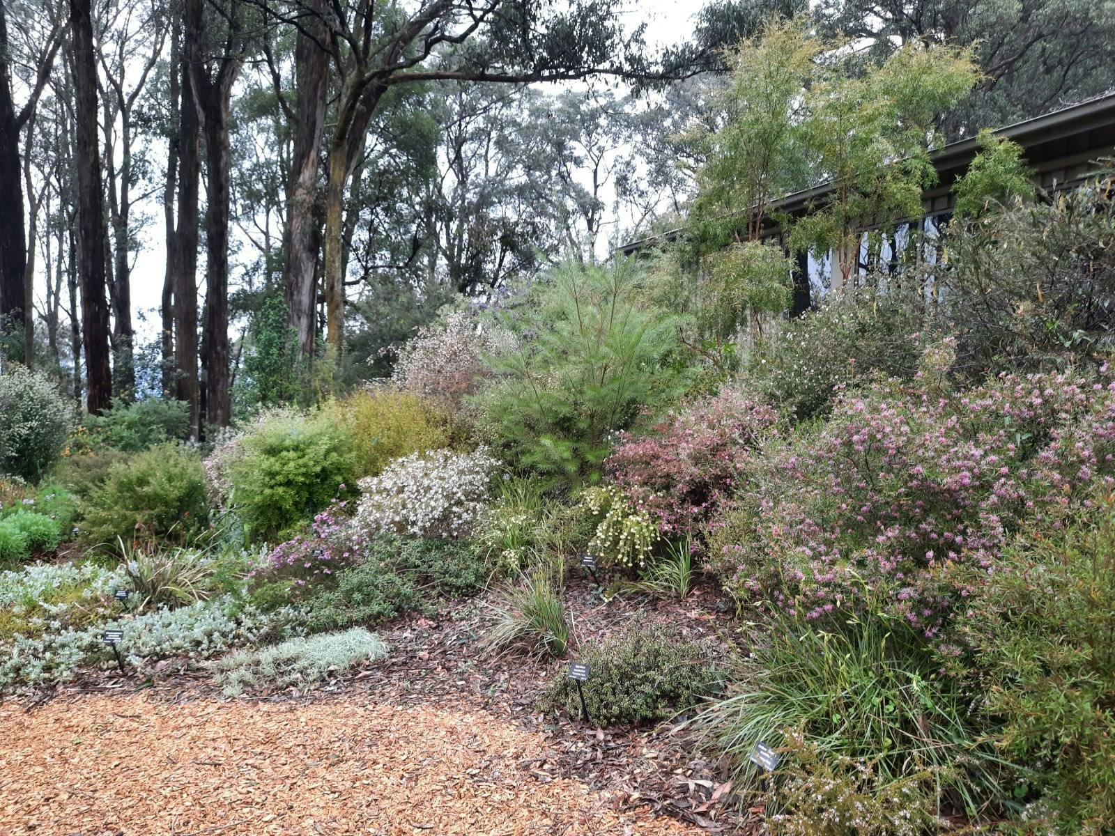 Karwarra has numerous garden beds to encourage visitors to plant Australian flora in their garden.