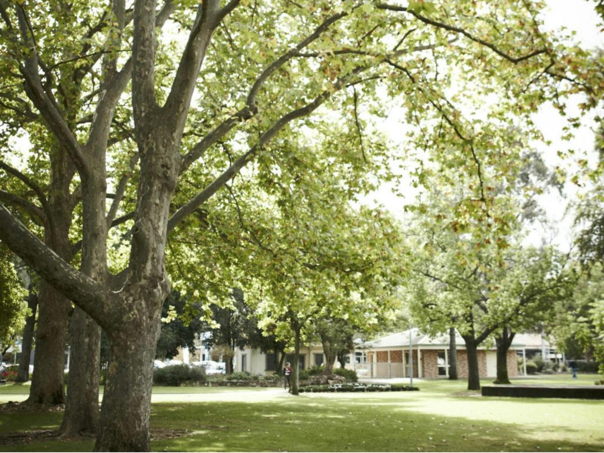Gardens in the centre of Wangaratta