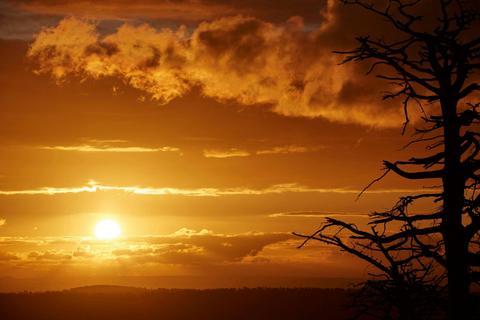 Lady Stonehavens Lookout