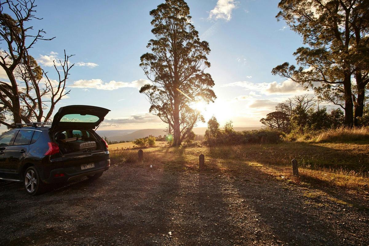 Frank Thomson Reserve
