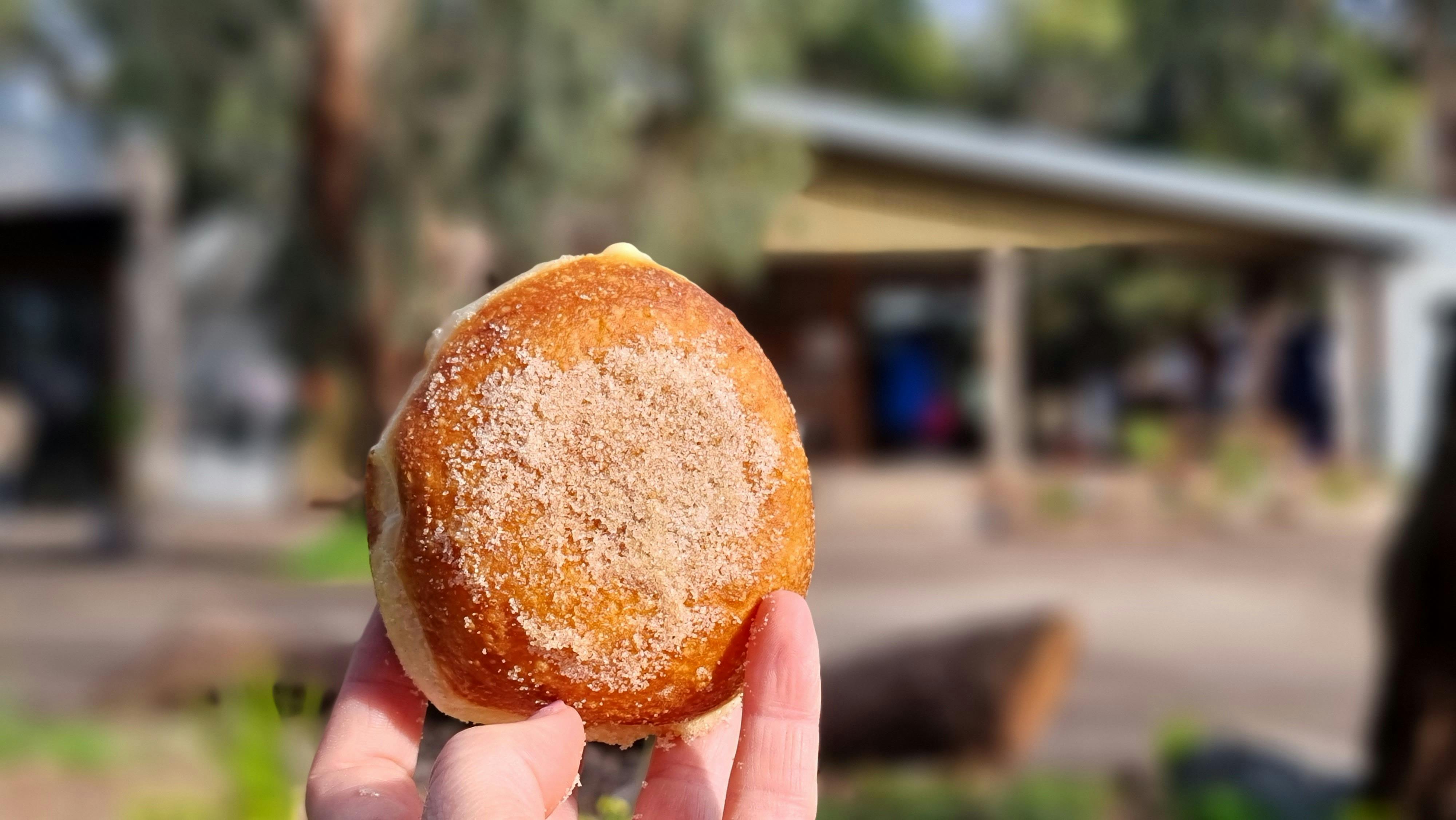 100% sourdough bombolini donut