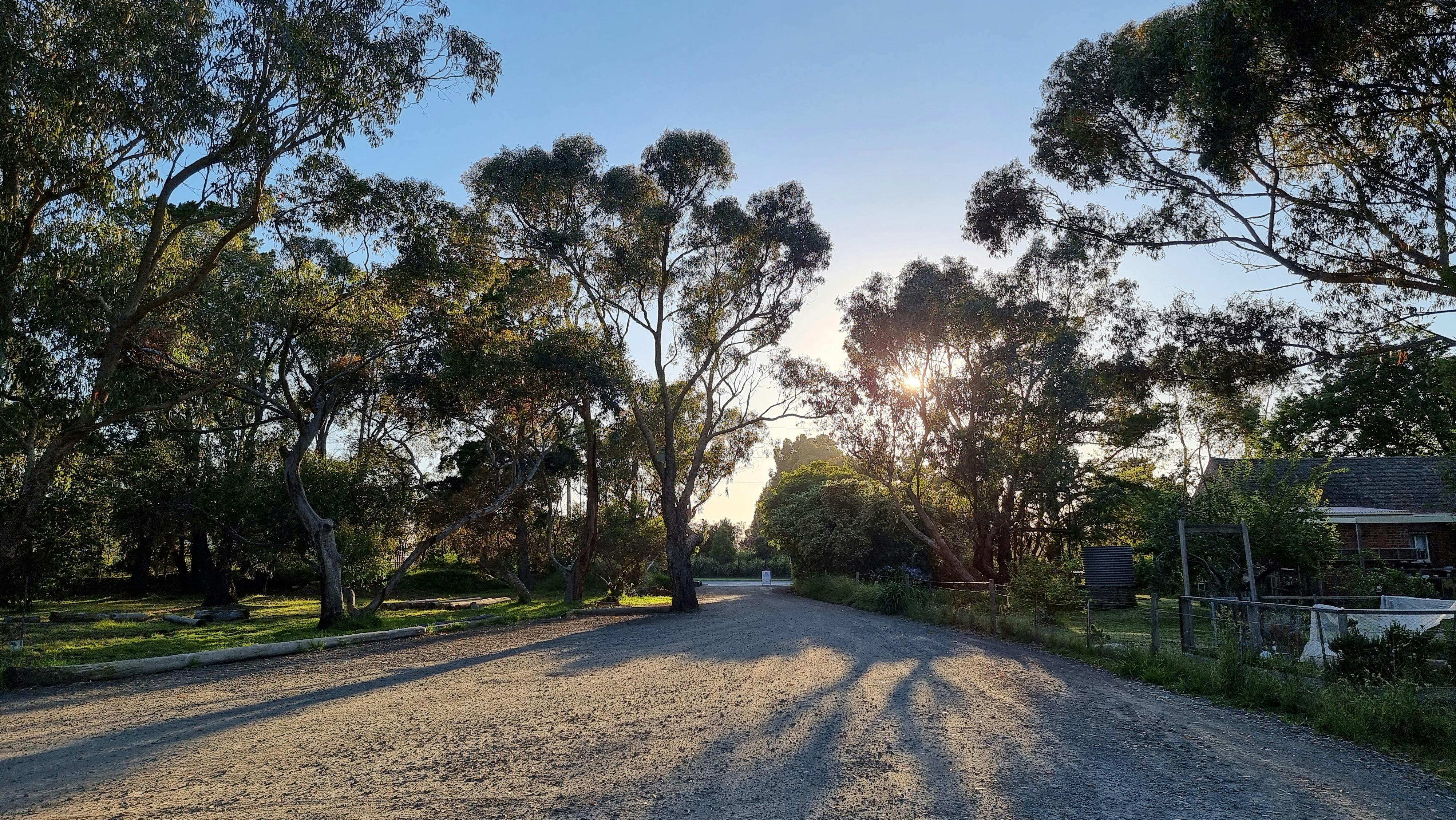100% authentic sourdough amongst Bellarine gum trees