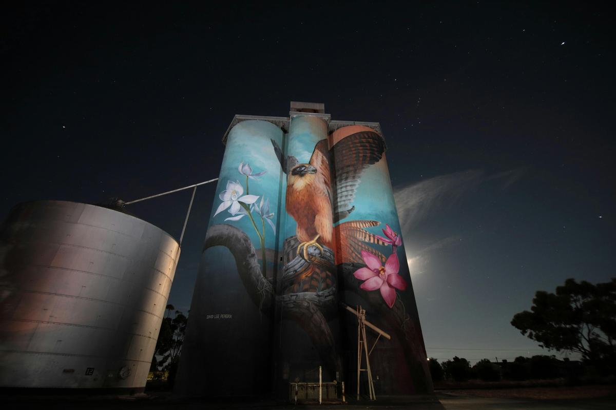Kaniva Silo Art