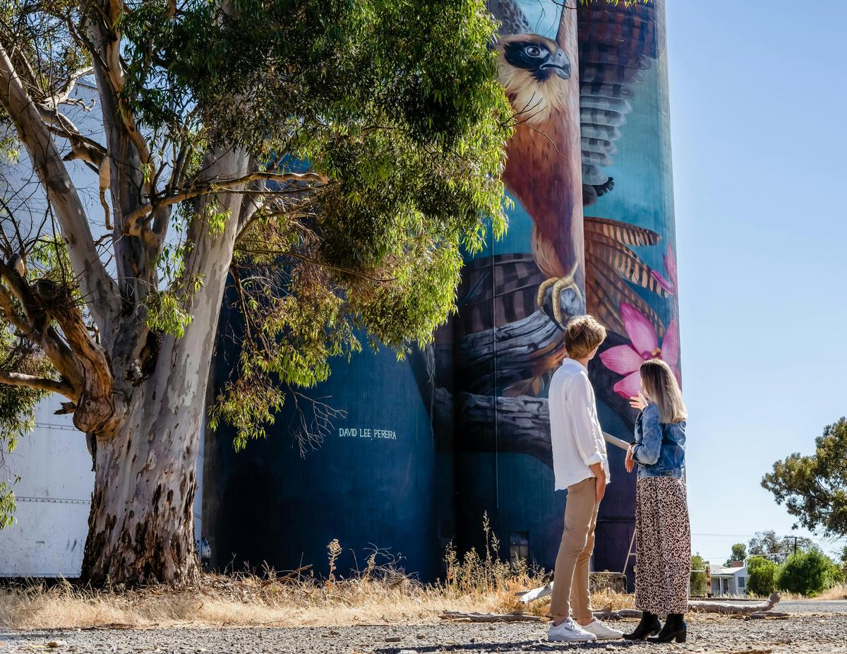Kaniva Silo Art