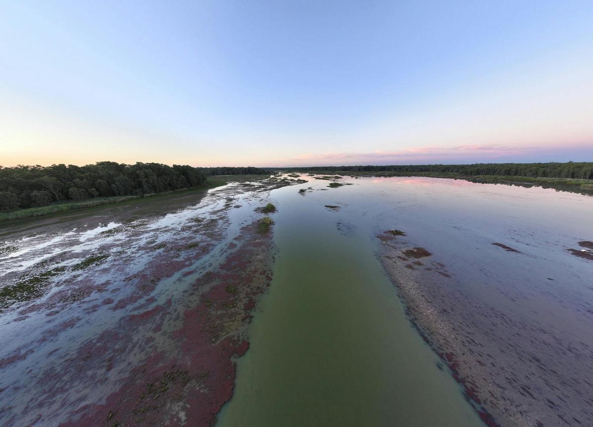 Ramsar-listed Barmah wetlands at sunset, rich in birdlife and red gums.
