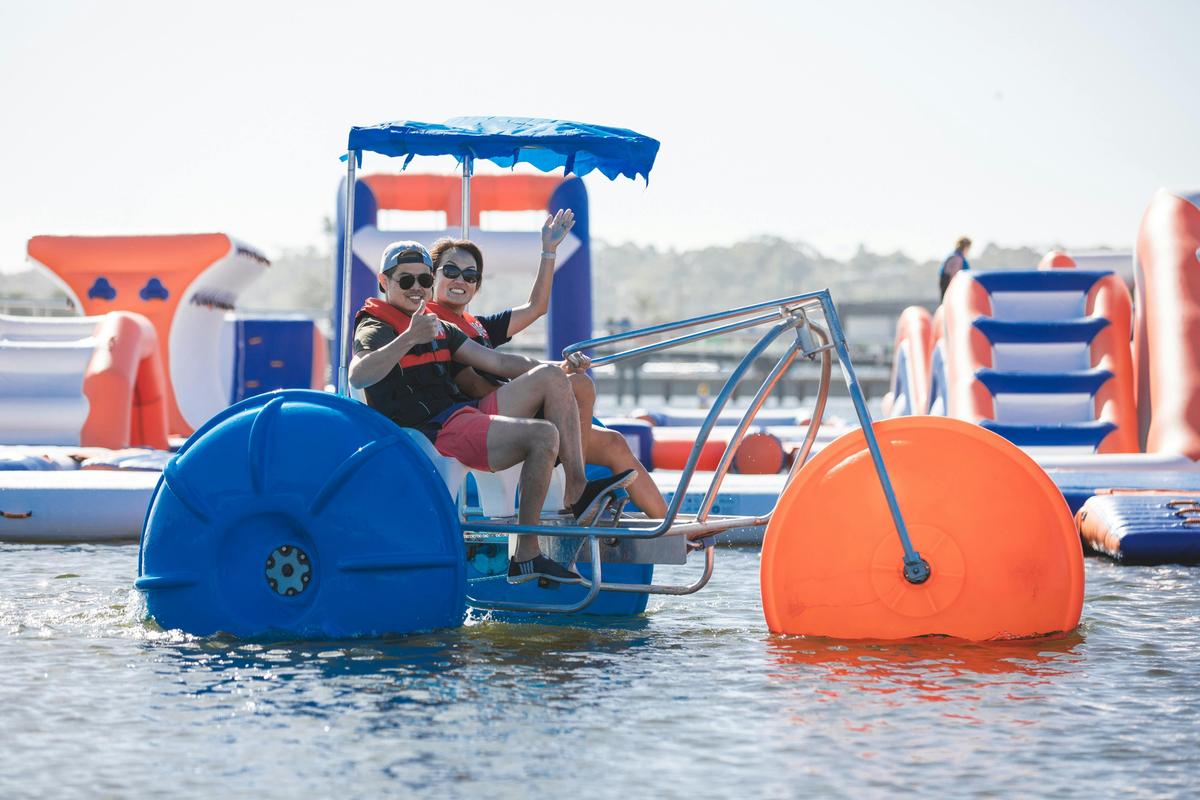 Giant paddle bikes