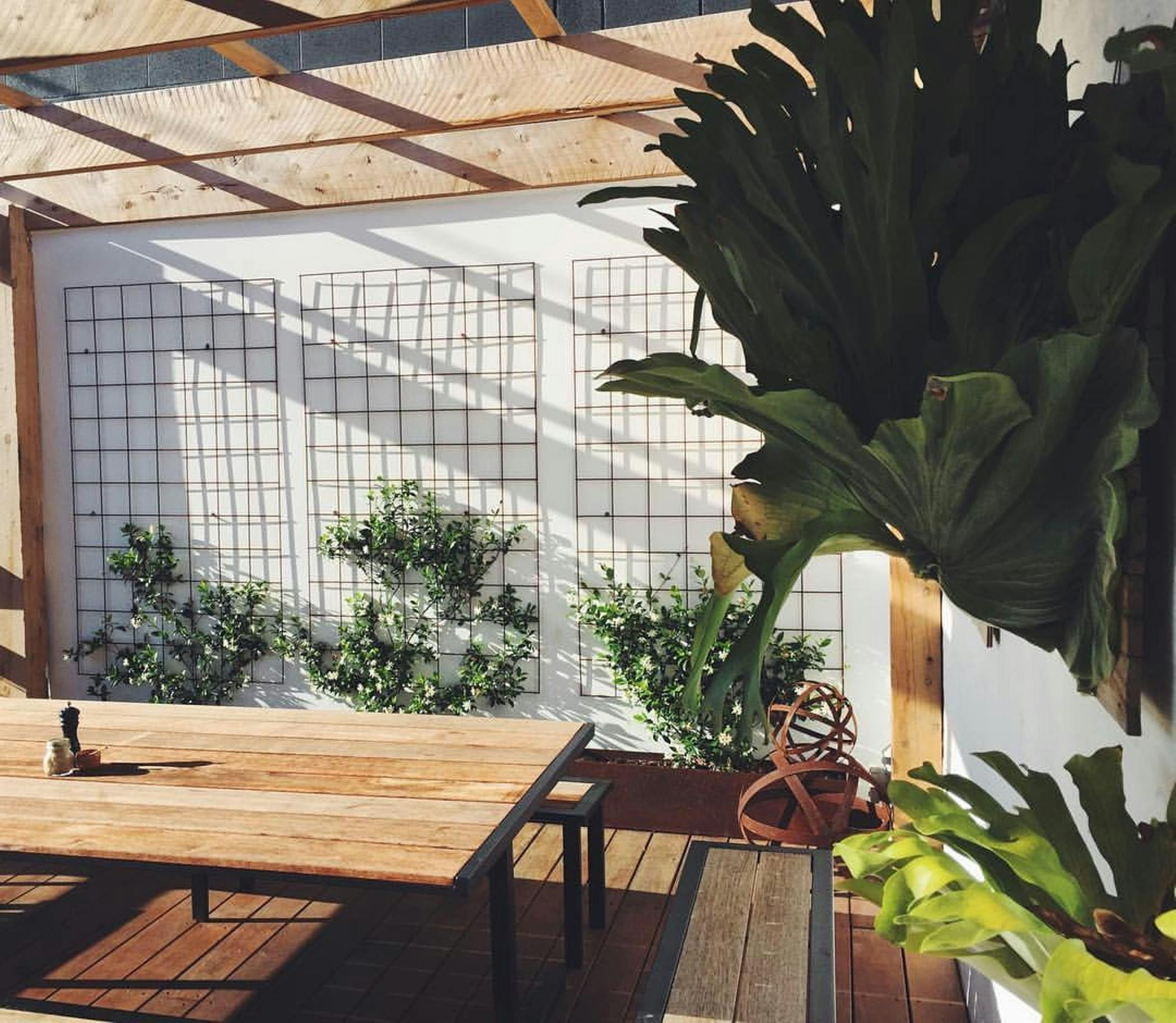 Outdoor area of King of the Castle