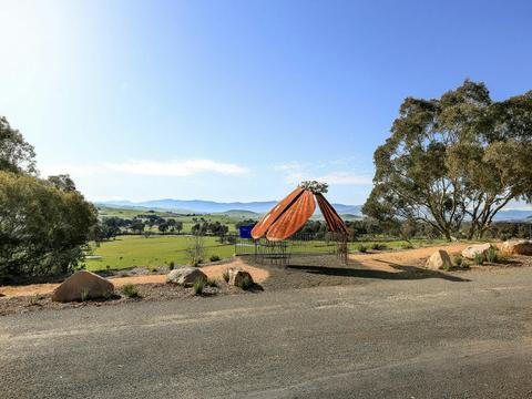Jim Newman  Lookout