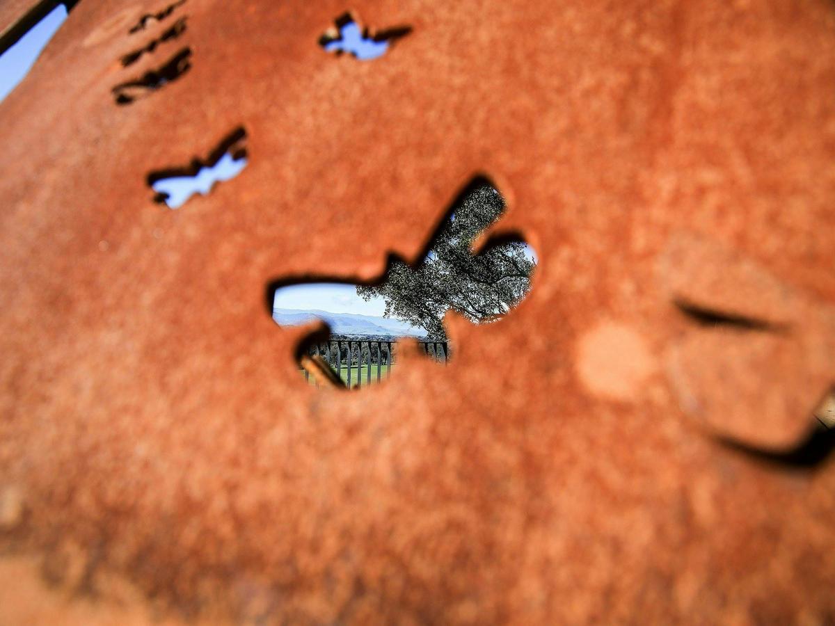 Bogong Moth Art sculpture wing
