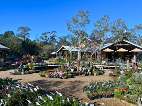 Kuranga Native Nursery and Paperbark Cafe