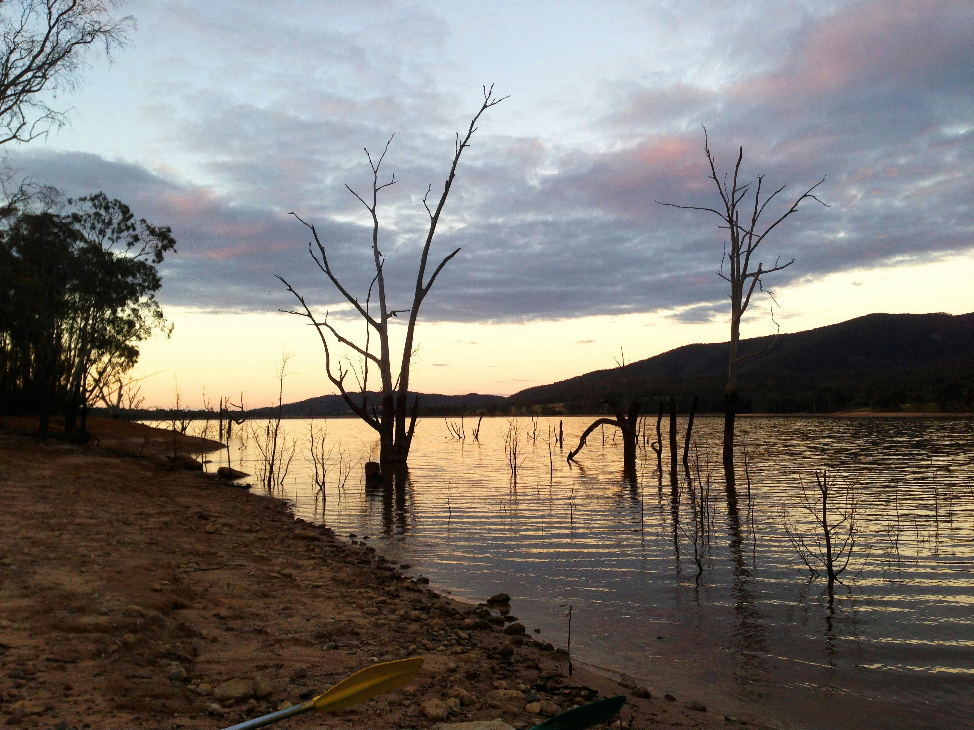 Lake Nillahcootie with trees in the water