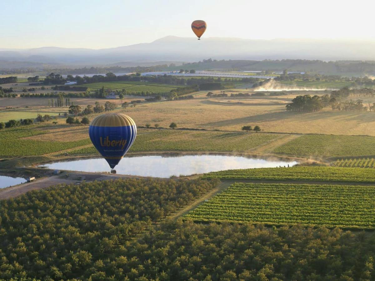 Rolling fields and vineyards
