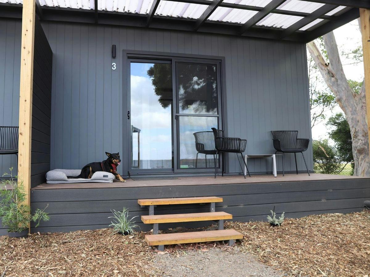 Standard Studio Cabin