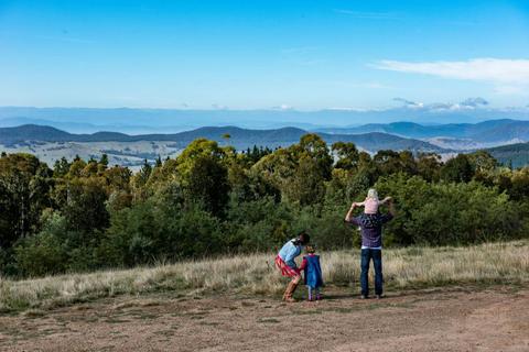 Lawrence Lookout