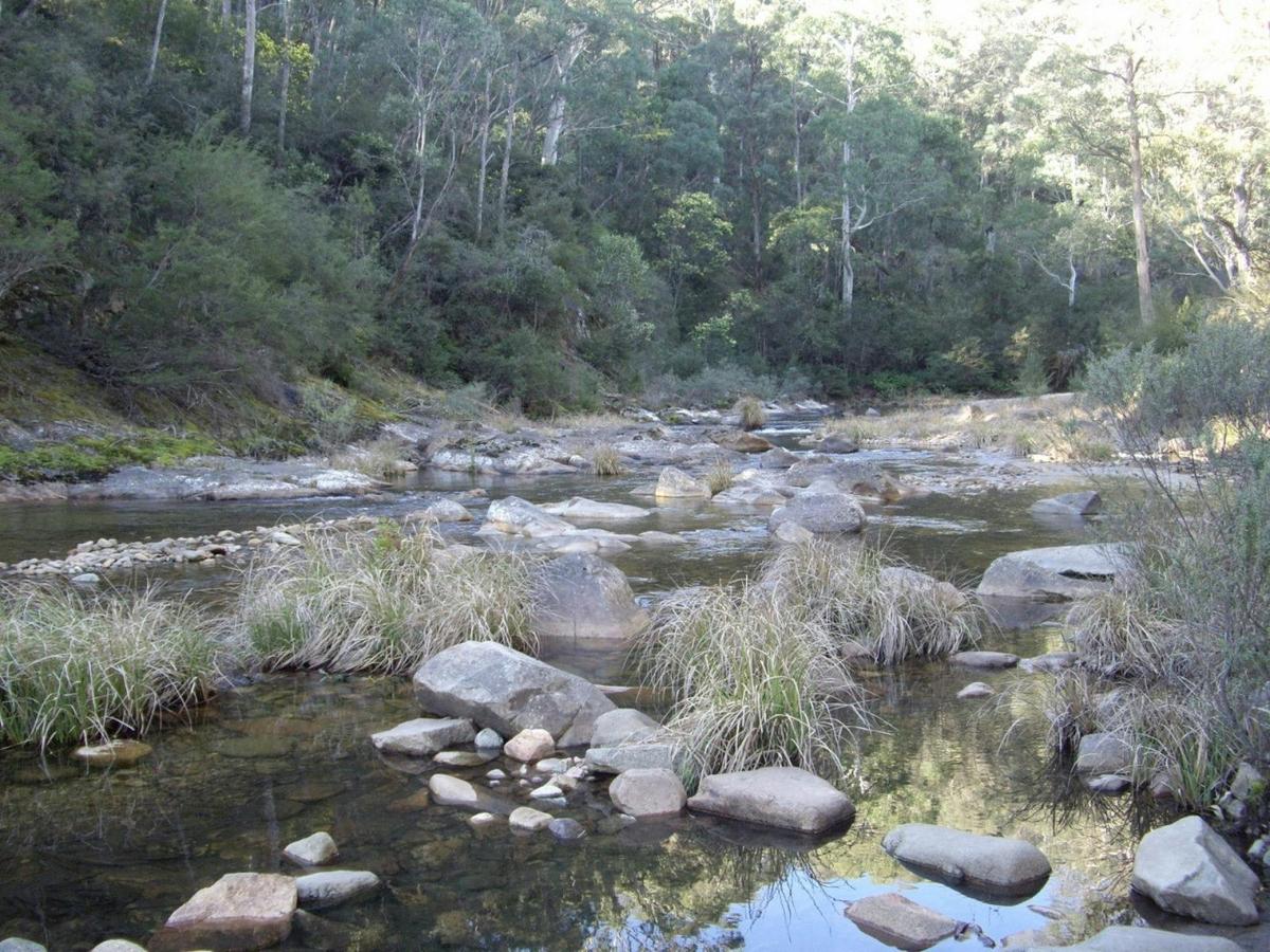 King River near Lake William Hovell