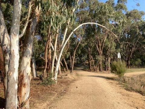 Koori Art Trail at the Beaufort Lake