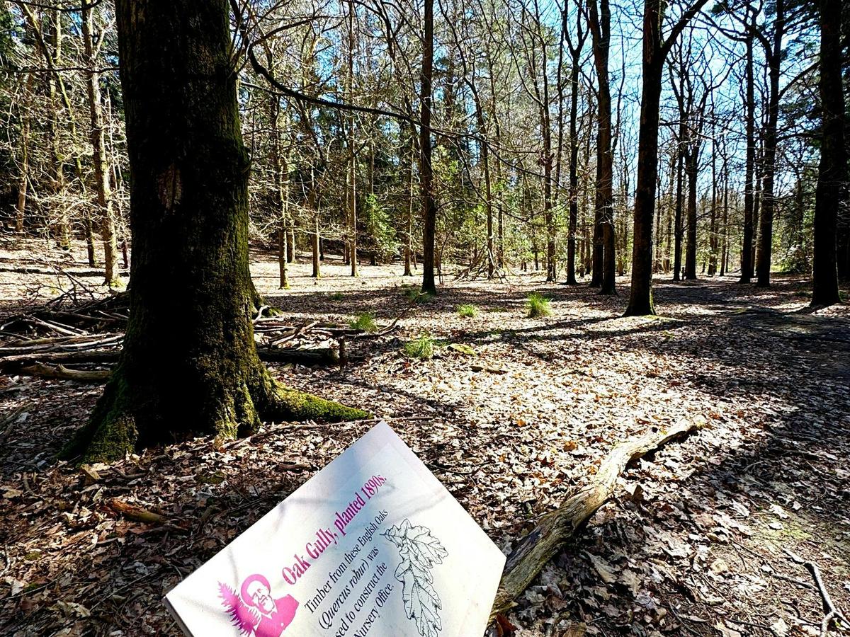 Signage along La Gerche Forest Loop Walk