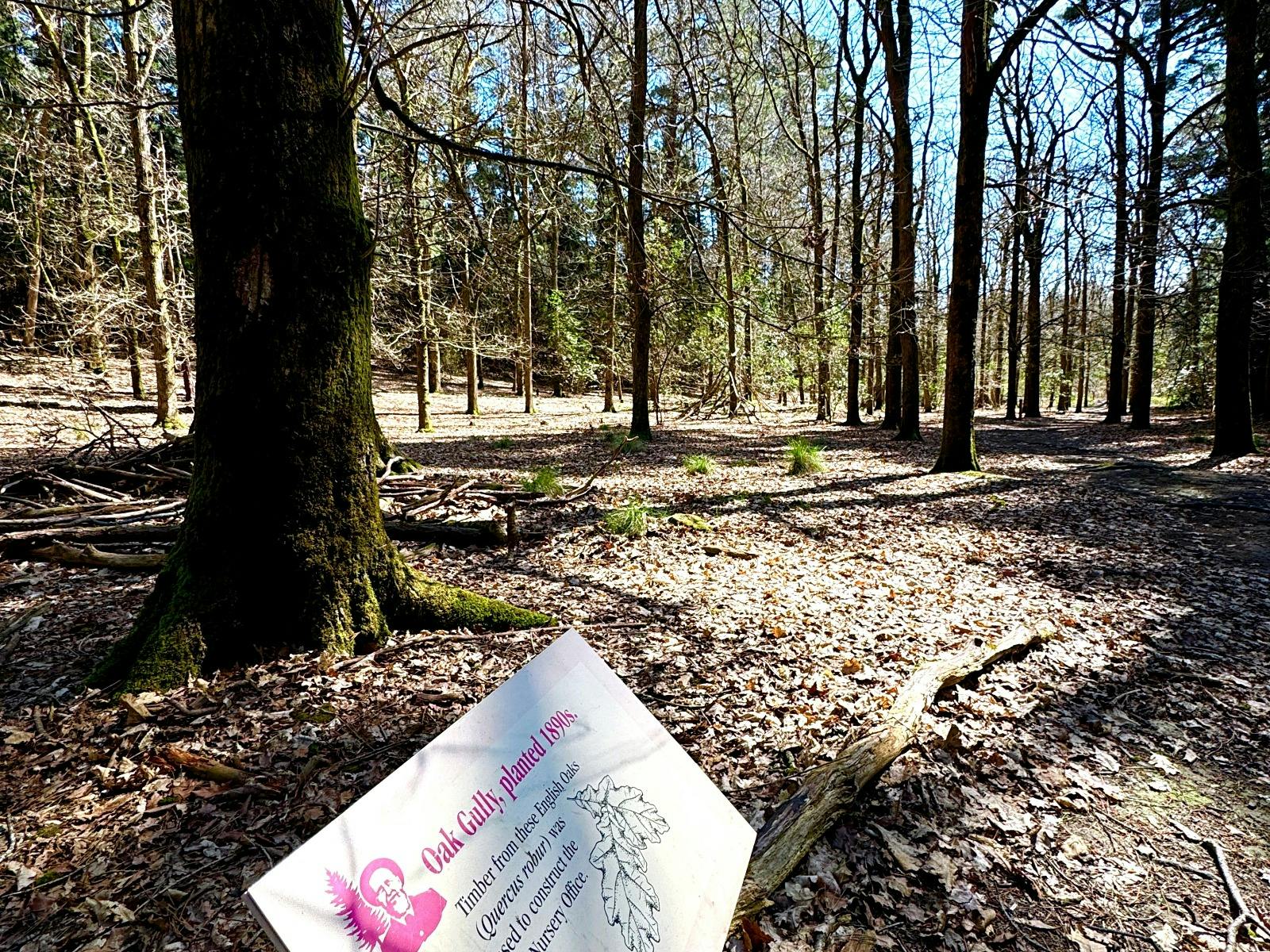 Signage along La Gerche Forest Loop Walk