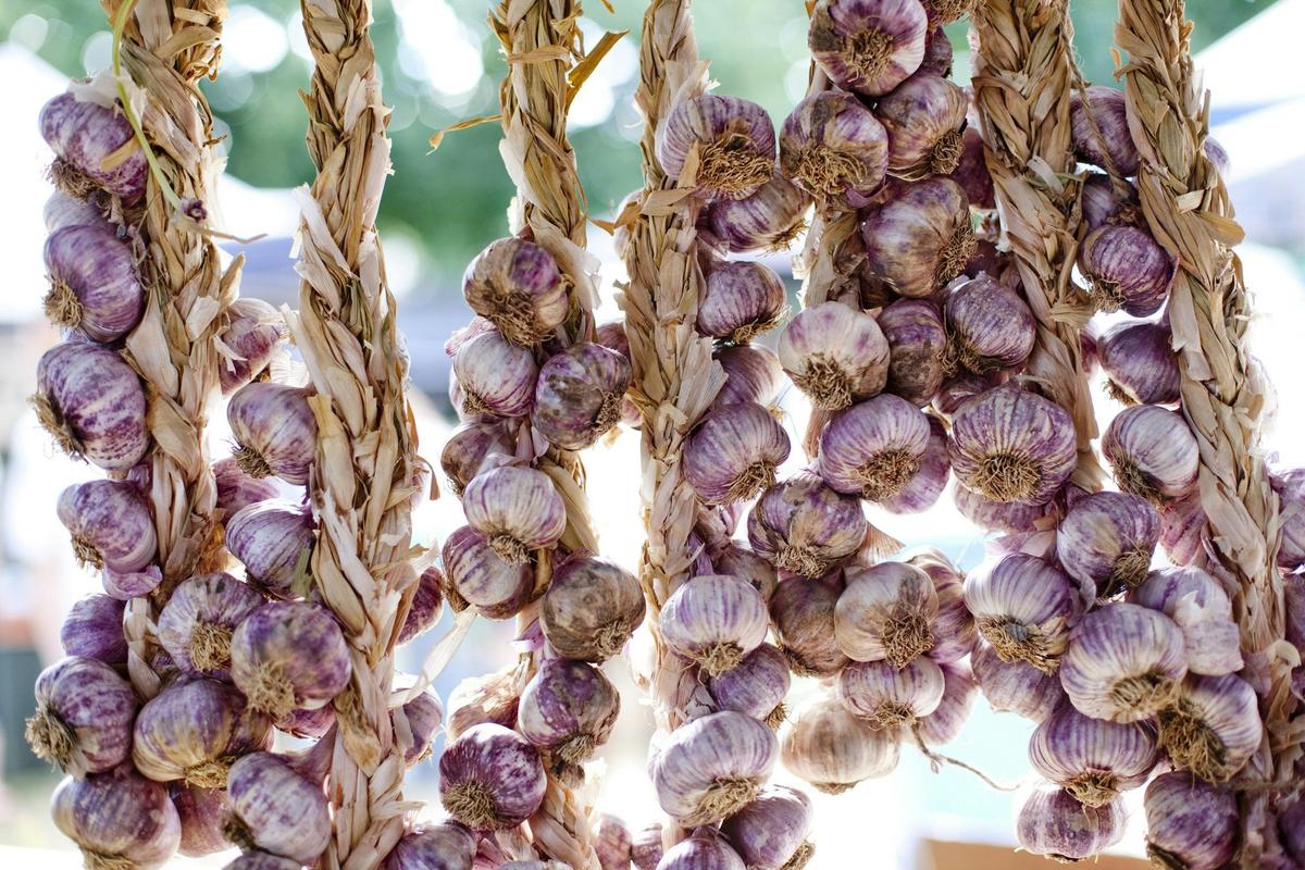 Garlic at the Market