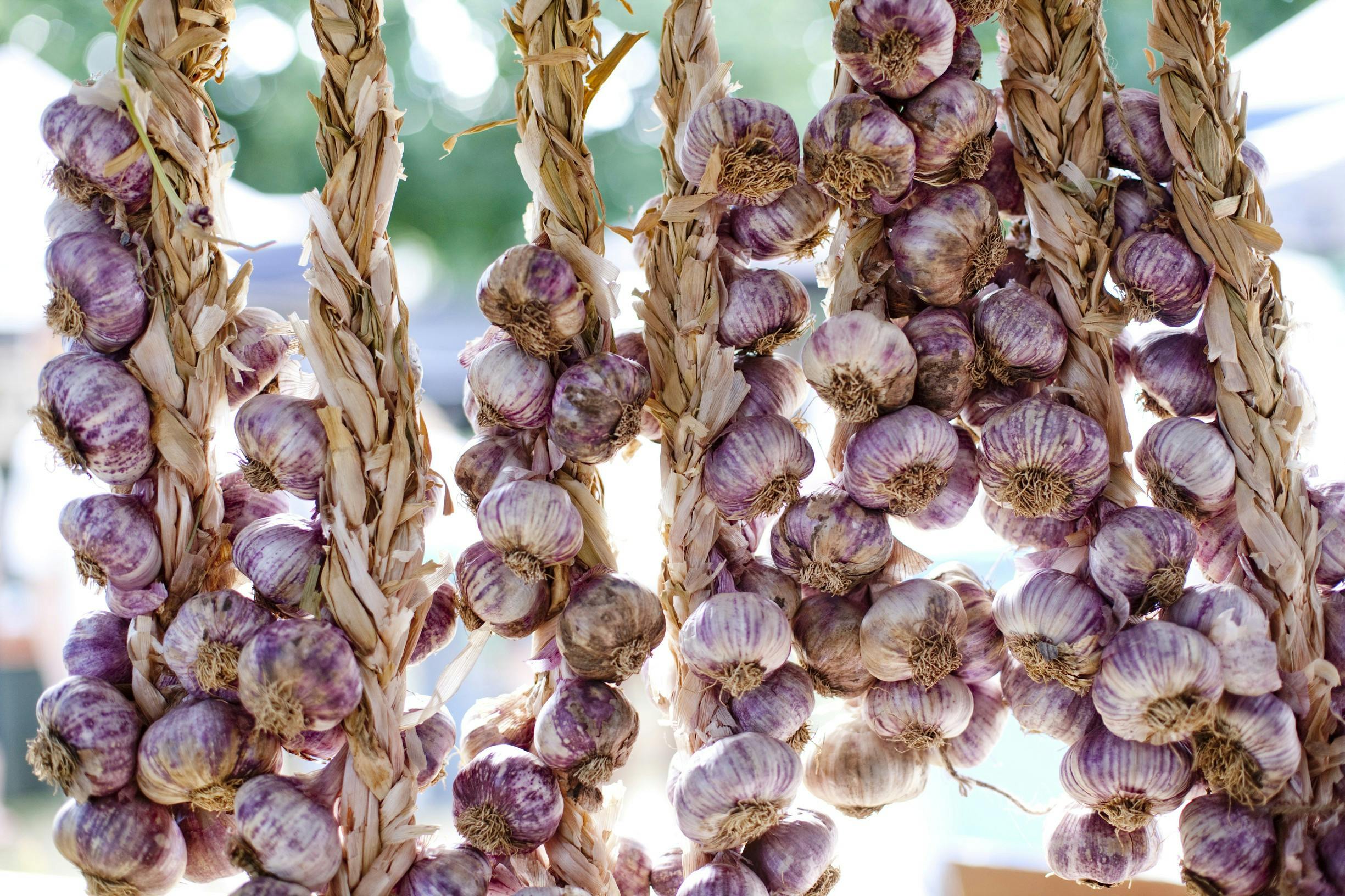 Garlic at the Market