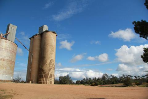 Lascelles Silo Art