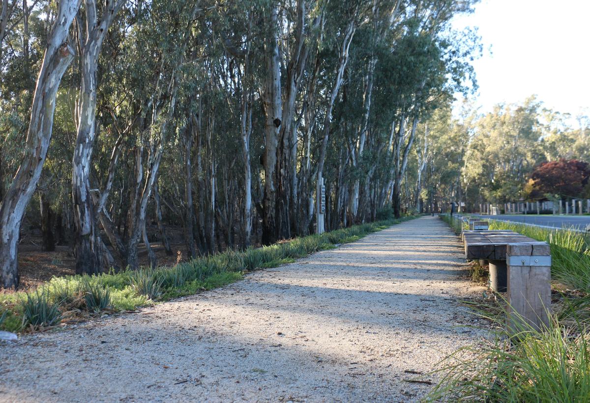 Koondrook Riverfront walking track