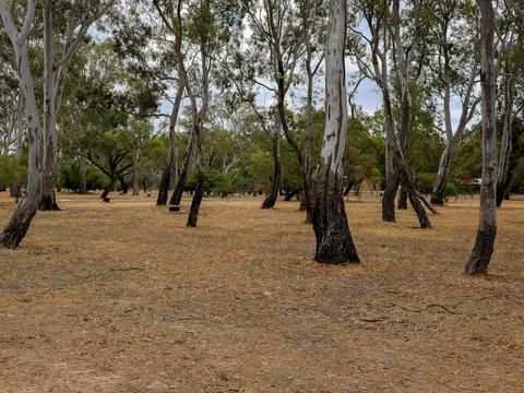 Spacious unpowered camping area