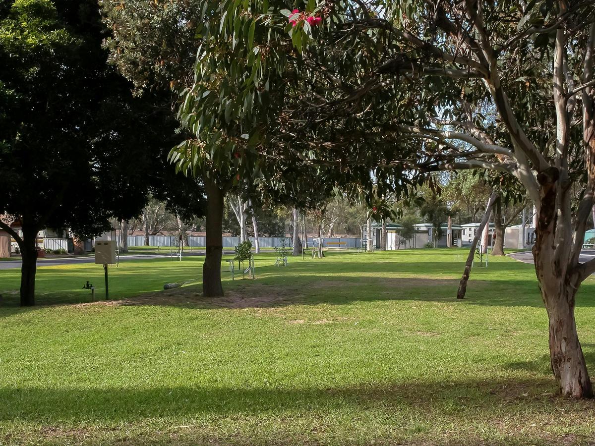 Large grassed powered sites