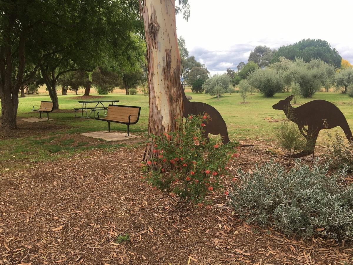 Mansfield Botanic Park Playground