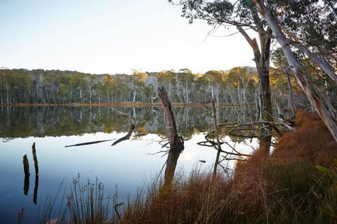 Lake Cobbler Walking Track
