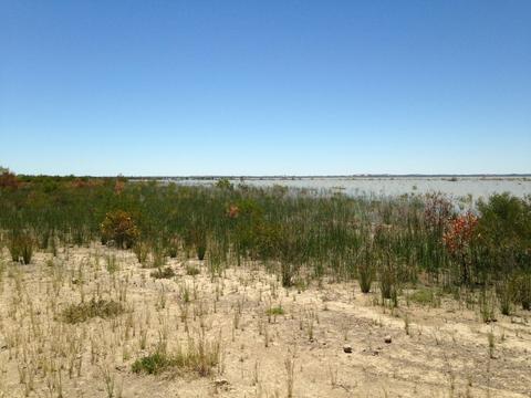 Lake Hindmarsh Reserve
