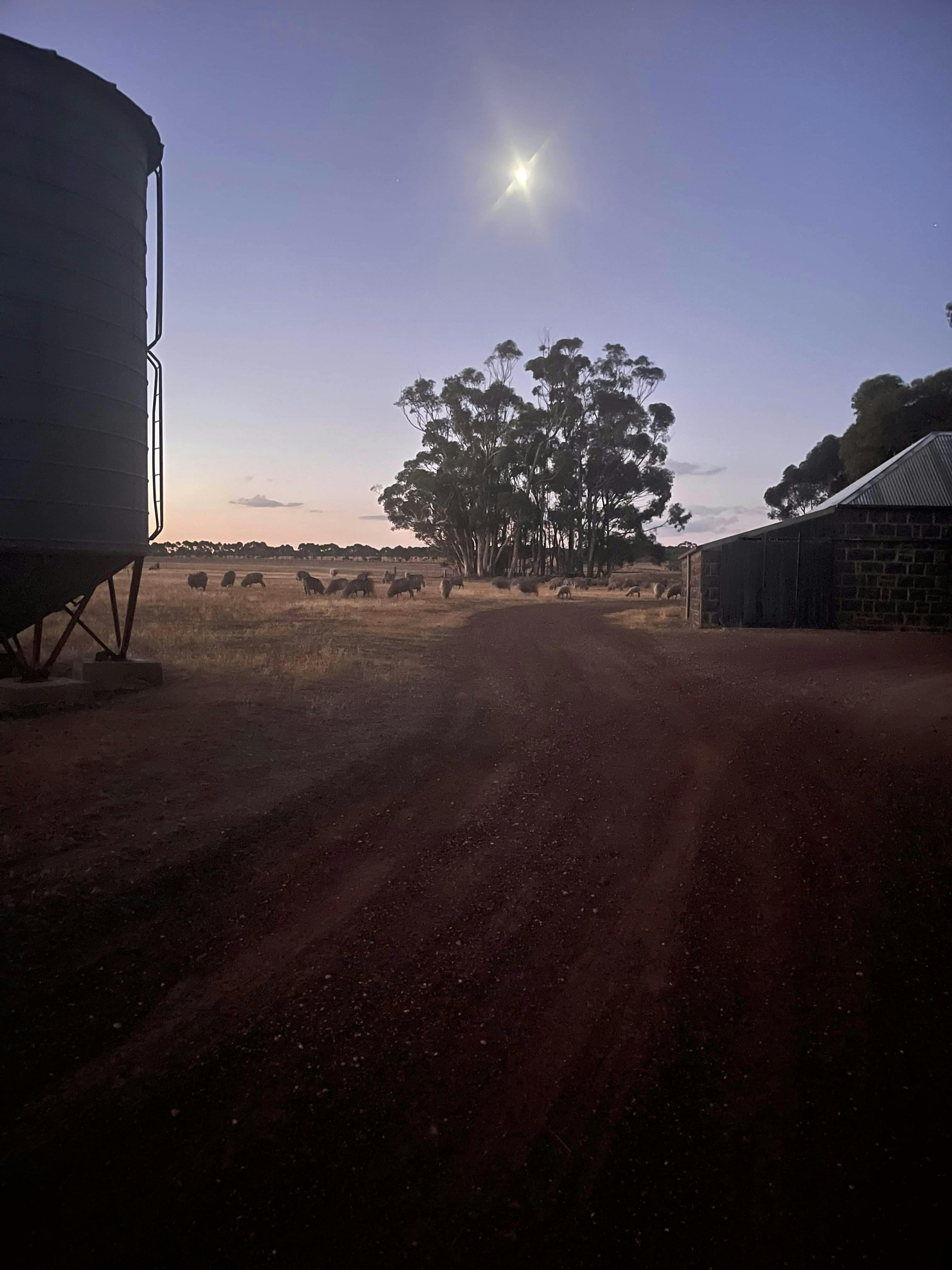 Farm at dusk