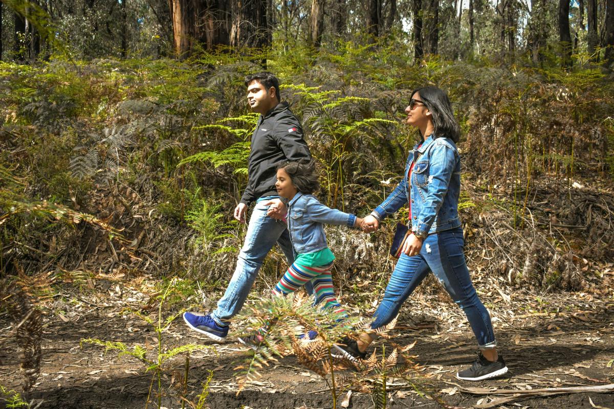 Kinglake National Park