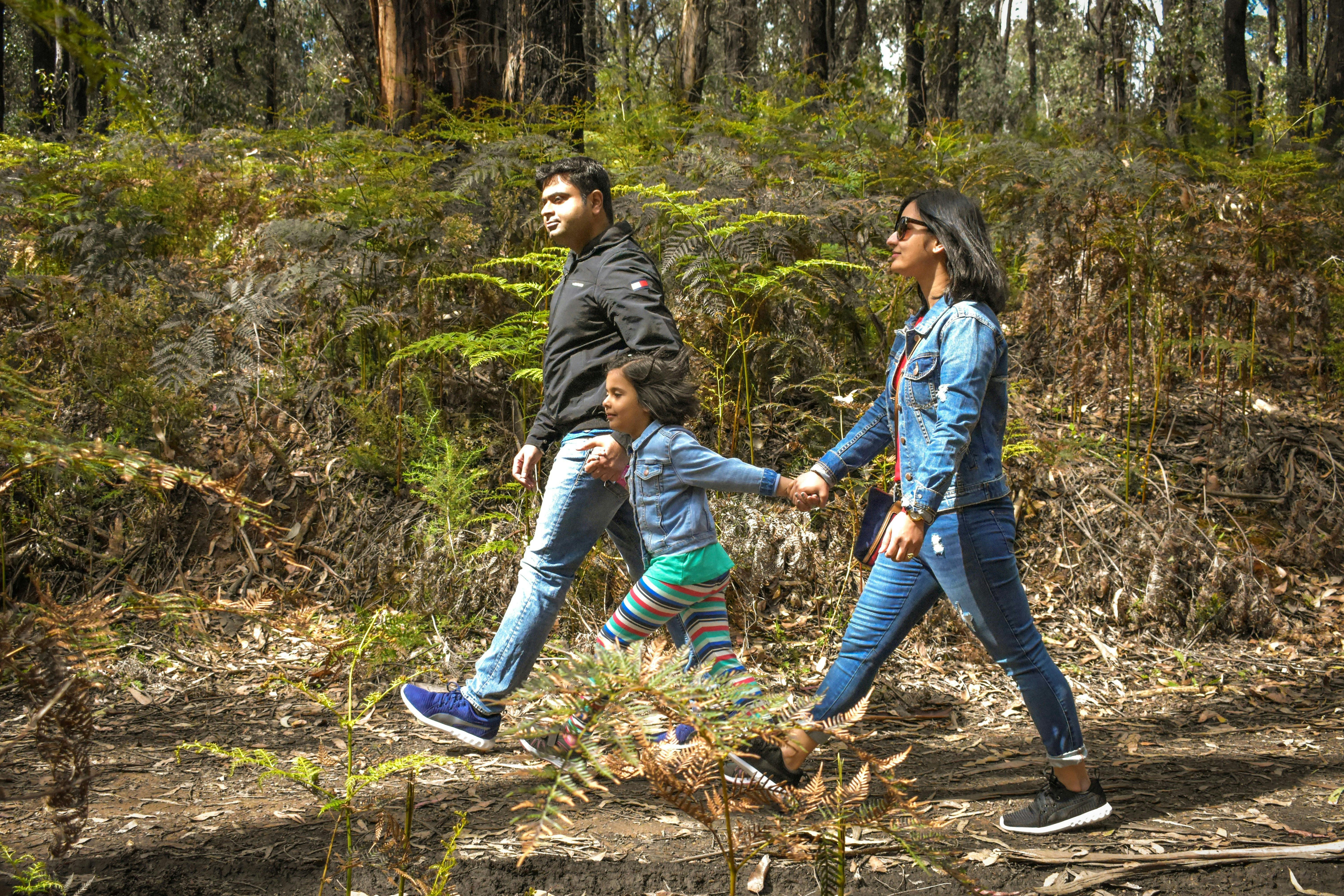 Kinglake National Park