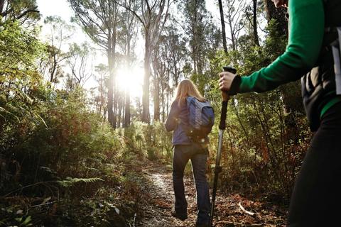 Kinglake National Park