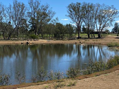 Lake King Wetlands at Rutherglen