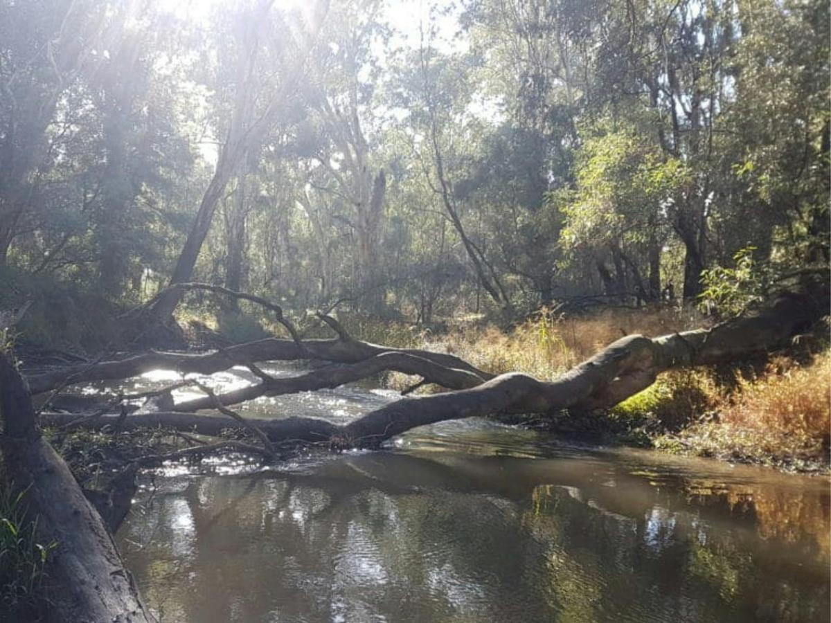 Kaluna Park / King River