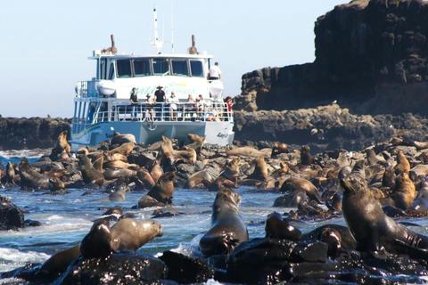 Enjoy a 2 hour cruise