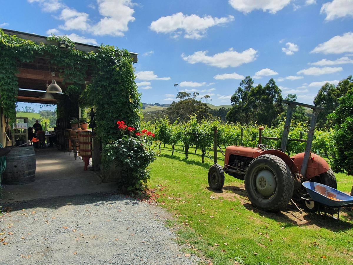 Gippsland Wine Company Entry