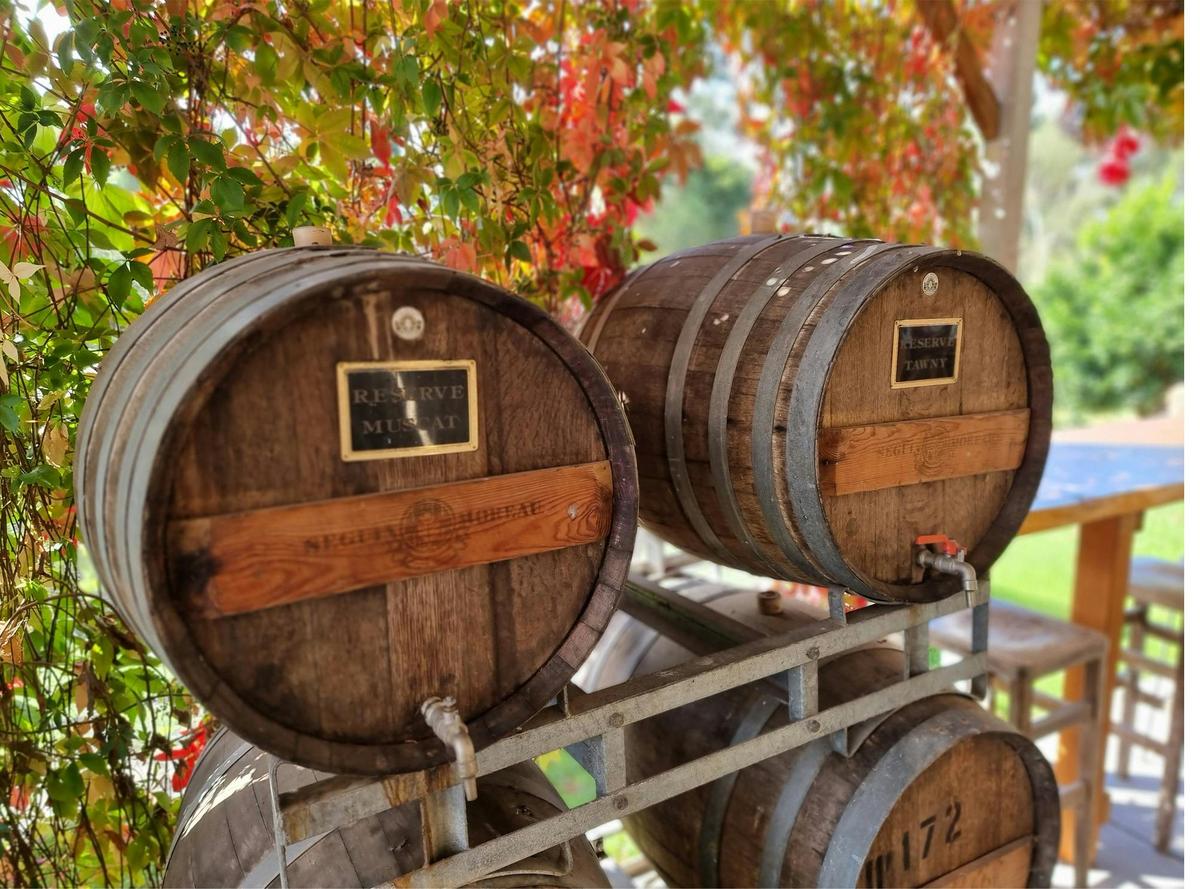 Gippsland Wine Company Barrels