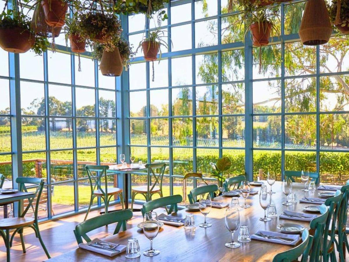 Yarra Valley Redwoods and Wine Tour