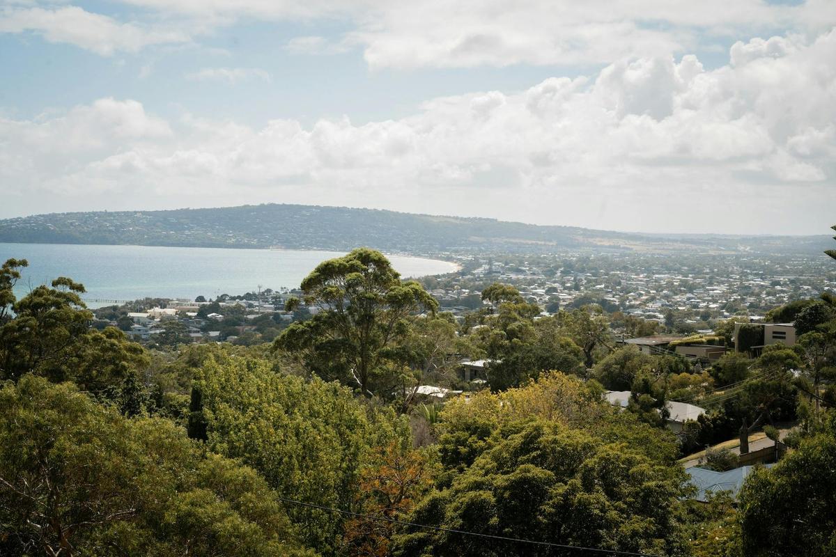 a view of the bay from a lookout with trees and a hill in the distance