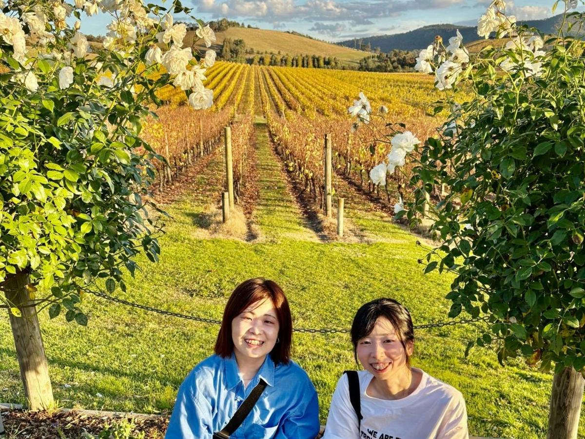 Yarra Valley Redwoods and Wine Tour